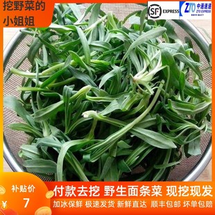 面条菜新鲜羊蹄颗农家自种时令蔬菜山东特产柳叶菜一斤也