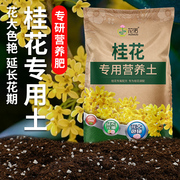 养桂花专用土营养土，盆栽土桂花树专用土肥料，专用肥土壤泥土种植土