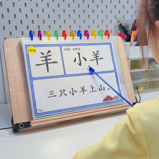 幼儿识字卡我的第一本汉字书大字拼音版认字卡片幼儿宝宝早教神器