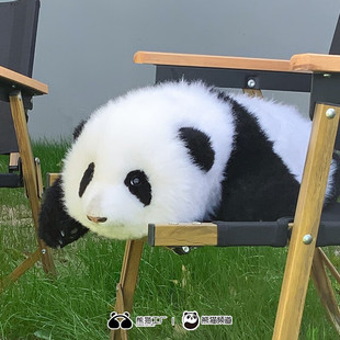 熊猫工厂大熊猫基地授权3月龄和花仿真熊猫玩偶可爱生日礼物