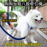 萨摩耶牵引绳大型犬金毛，拉布拉多中型犬法斗项圈，自动调节遛狗神器