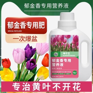 郁金香水培营养液肥料专用肥，球根植物风信子朱顶红，仙客来通用盆栽