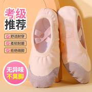 儿童舞蹈鞋女童免系带肉色软底鞋，芭蕾中国舞练功鞋男童专用跳舞鞋
