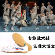 大博文飞跃练功鞋儿童武术专用鞋训练鞋运动鞋比赛鞋专业武术鞋男
