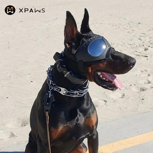 xpaws宠物面罩眼镜，防水防雪软镜框狗狗护目，镜边牧金毛太阳镜墨镜