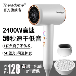 Theradome大功率发廊高速吹风机家用负离子恒温冷热风电吹风筒