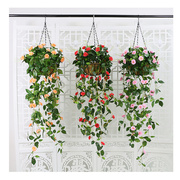 仿真花藤条壁挂假花塑料，花吊兰室内植物挂墙装饰墙壁客厅垂吊吊篮