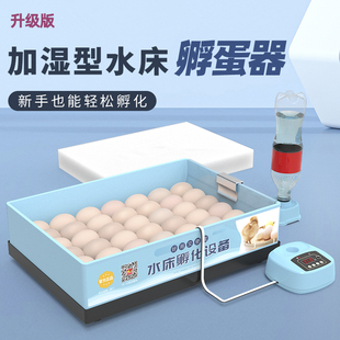 芦丁鸡孵化器小型家用迷你孵化机全自动智能小鸟蛋水床恒温孵蛋器