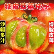 丹东草莓柿子5斤水果西红柿新鲜当季自然熟正宗柿子番茄可选