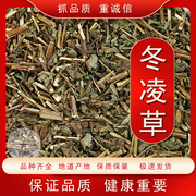 中药材野生冬凌草冬凌茶冬凌草茶500克原草新货