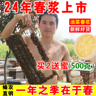 24年油菜春浆蜂农蜂王浆，纯正天然新鲜蜂皇浆500g买2送蜜