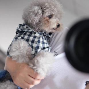 宠物比熊雪纳瑞小型犬泰迪狗狗衣服春秋装冬装厚款四脚牛仔背带裤