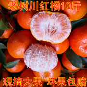 四川红橘万州红桔大红袍橘子新鲜当季水果10斤整箱重庆陈皮川桔子