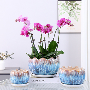 欧式造型轻奢花盆陶瓷，家用室内虎皮兰蝴蝶兰，专用大口径兰花高级感
