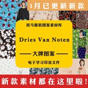 Dries Van Noten德赖斯 范诺顿国际品牌大牌流行趋势矢量图案素材