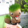 草头娃娃创意迷你小绿植室内盆栽植物幼儿园儿童礼物微观长草娃娃