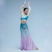 傣族舞蹈演出服女成人艺考练功裙孔雀舞，鱼尾半身长裙民族表演服装