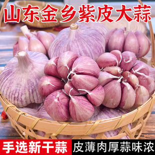 山东金乡紫皮大蒜头干蒜5斤2023新鲜祘头籽10斤农家蒜米种子