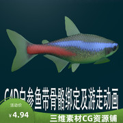 C4D白参鱼模型C4D鱼类模型C4D海洋生物模型C4D动画模型工程素材