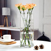 方形落地玻璃花瓶大号，特大透明富贵竹插花百合花，水养客厅现代简约