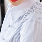 夏季新女衬衫短袖马蹄袖收腰蓝紫竖条纹白领工装，通勤ol大码职业棉