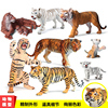 儿童仿真动物玩具老虎模型东北虎孟加拉虎西伯利亚虎家居场景摆件