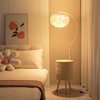 羽毛落地灯卧室客厅氛围高级感法式奶油风网红艺术，床头柜台灯一体