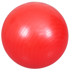 幼儿园大龙球感统训练器材家用儿童瑜伽球早教健身锻炼防爆按摩球