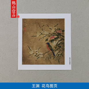 名画复制品宋画小品王渊花鸟图页工笔花鸟画国画艺术微喷装饰画