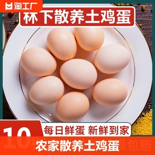 农家散养土鸡蛋10枚新鲜初生，蛋谷物蛋，农村柴鸡蛋笨鸡蛋40g枚