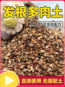 高端多肉土彩虹石营养(石营养，)土养花多肉，专用种植土通用型麦饭石颗粒