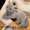 小猫抱枕猫咪玩偶布娃娃可爱仿真猫公仔毛绒，玩具儿童女生安抚