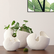 铜钱草水培花盆陶瓷白色无孔创意简约大植物器皿绿萝容器