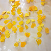 单片仿真银杏叶片单个落叶假叶子婚庆橱窗装饰黄色银杏枯叶塑料叶