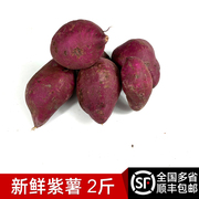 新鲜紫薯2斤香甜软糯农家紫心地瓜番薯多省