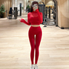 高颜值健身套装女带胸垫高端网纱运动上衣新年红色瑜伽服长袖春季
