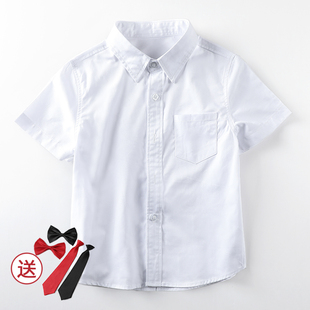 男童短袖衬衫白色礼服儿童，衬衣纯棉夏装，童装男孩上衣服送领结领带