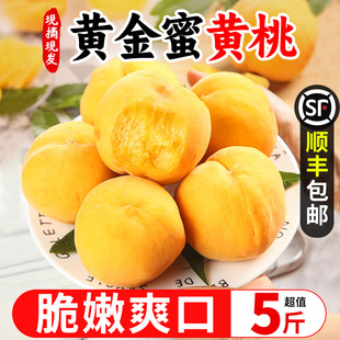 黄金蜜黄桃新鲜水果蜜桃5斤桃子应当季时令大软硬甜桃1号整箱