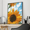diy数字油彩画大幅花卉填色减压手工填充手绘客厅卧室挂画 向日葵