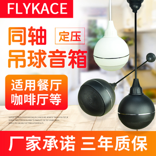 flykace 定压天花吊球喇叭 店铺餐厅背景音乐音响 吊顶吊装音箱