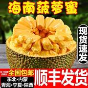 海南三亚菠萝蜜新鲜水果当季黄肉一整个20-40斤木波罗蜜