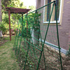 阳台菜园种菜蔬菜爬藤架子豆角，架杆黄瓜支架支撑杆攀爬架园艺花架
