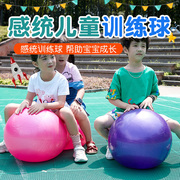 儿童大龙球花生球按摩球，加厚防爆感统训练器材幼儿园游戏道具