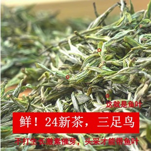 三足鸟永川秀芽绿茶2024新茶叶(新茶叶)明前茶特级重庆永荣茶厂50g