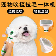 狗狗洗澡专用吹风机宠物吹毛拉毛一体机静音小型犬梳子吹水机神器