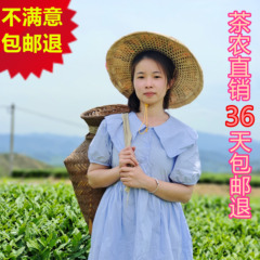 正宗安溪铁观音2023春茶新茶叶浓香型秋手工茶清香型500g茶农自产