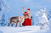 芬兰罗瓦涅米圣诞老人村+北极圈标线一日游(哈士奇雪橇+驯鹿雪橇)