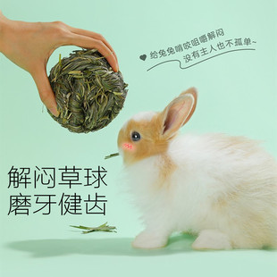 洁西兔子解闷玩具草球提摩西草宠物兔用品龙猫荷兰猪咬啃磨牙零食