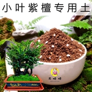 小叶紫檀专用土小盆栽花卉肥料透气不板结弱酸性通用型营养土