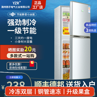 扬子电气小冰箱家用小型冷冻冷藏迷你宿舍出租房二人一级能效节能
